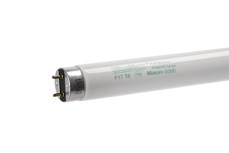 Maxum™ 5000 24" F17-T8MB Fluorescent Tube