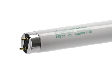 Spectra™ 5700 48" F32-T8 MB-HO Fluorescent Tube