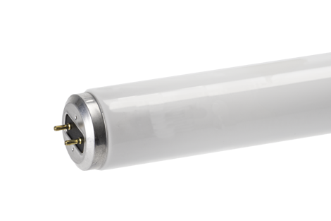 Spectra™ 5600 24" F20-T12 MB Fluorescent Tube