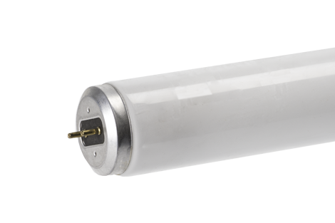 Spectra™ 5600 36" F30-T12 MB Fluorescent Tube