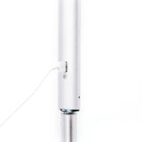Silver Withington full spectrum LED floor lamp usb charging port